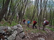 71 nel bosco di carpini...